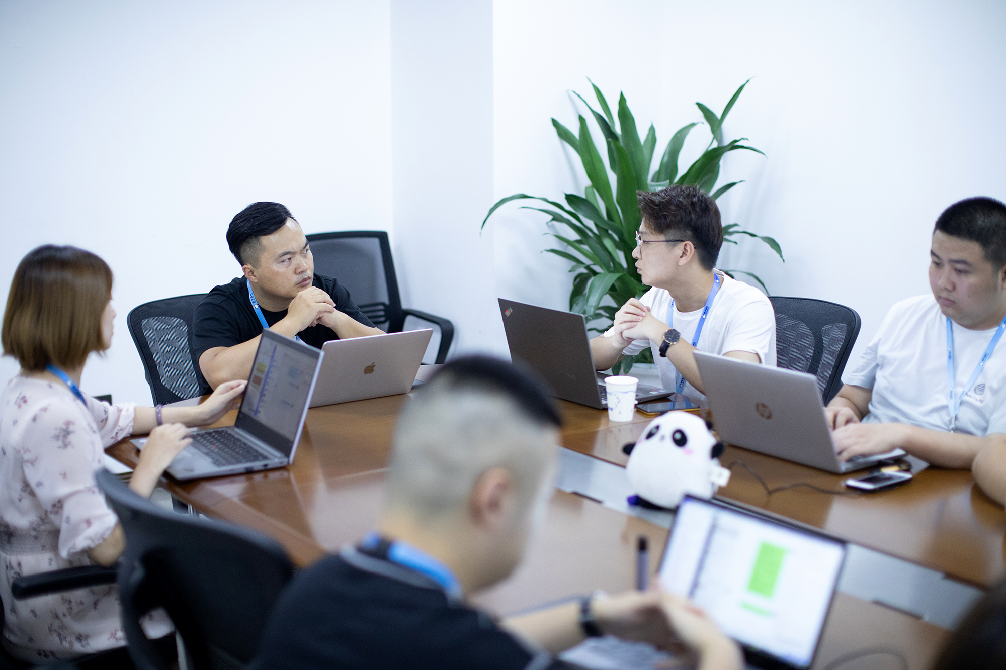 扁平开放范儿
