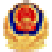 police.png